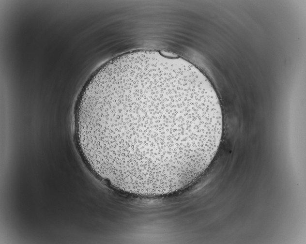 X0000088681095200706281937