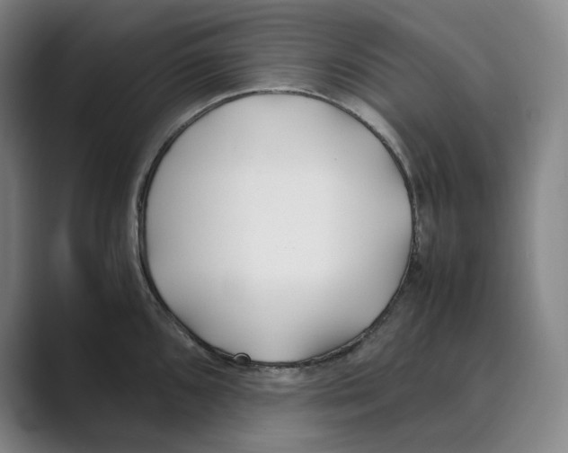 X0000088681096200706281937