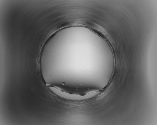 X0000088681097200706281937