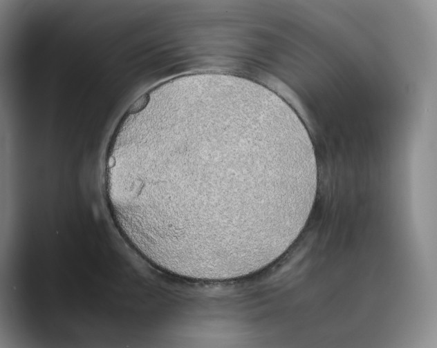 X0000088681099200706281937