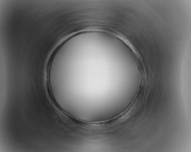 X0000088681101200706281937