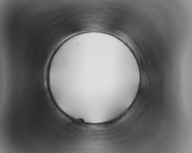 X0000088681102200706281937