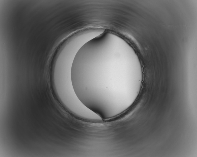 X0000088681114200706281937