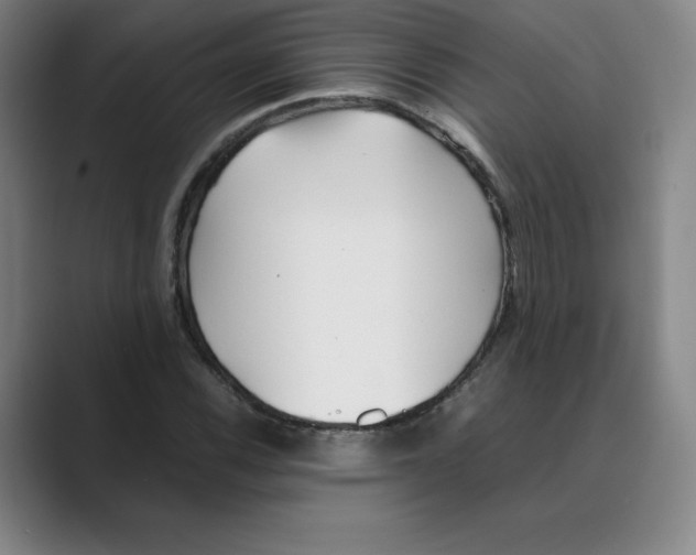 X0000088681116200706281937