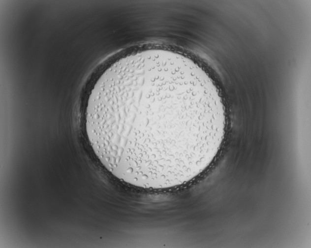 X0000088681117200706281937