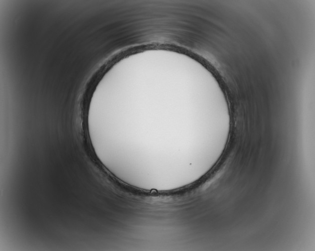 X0000088681118200706281937