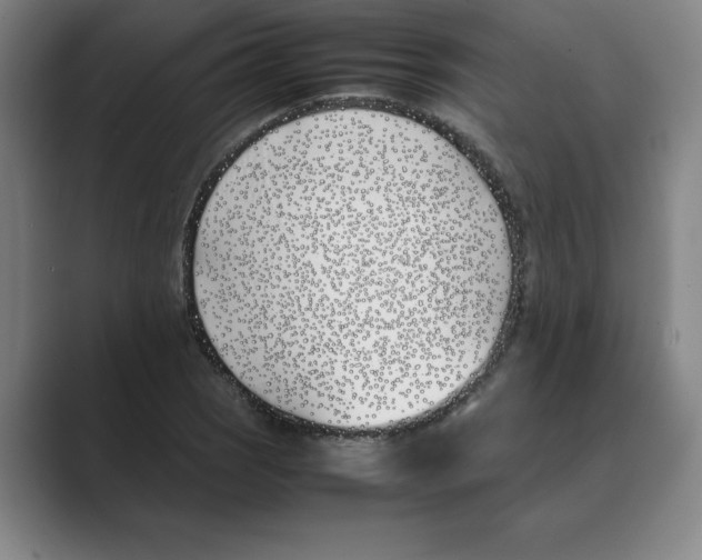 X0000088681121200706281937