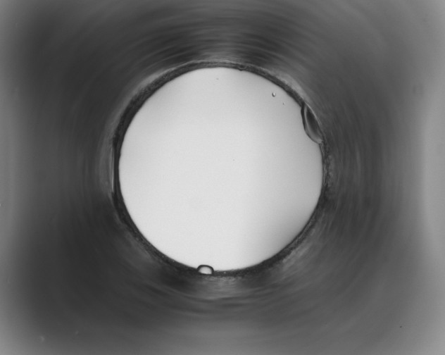 X0000088681123200706281937