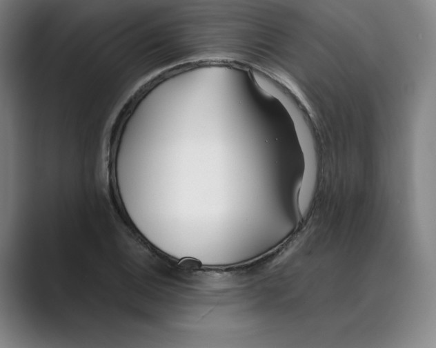 X0000088681124200706281937