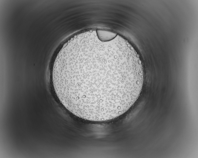 X0000088681125200706281937