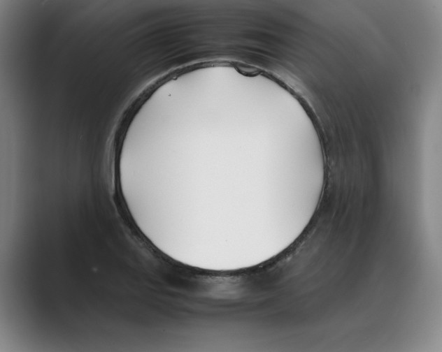 X0000088681127200706281937