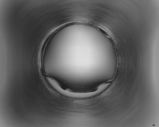 X0000088681128200706281937