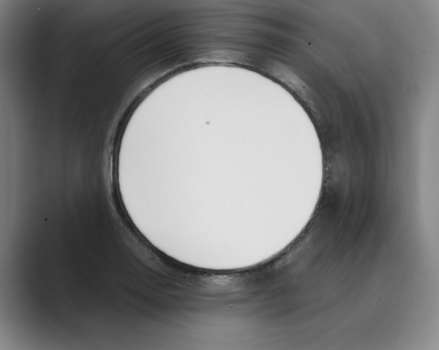 X0000088681130200706281937