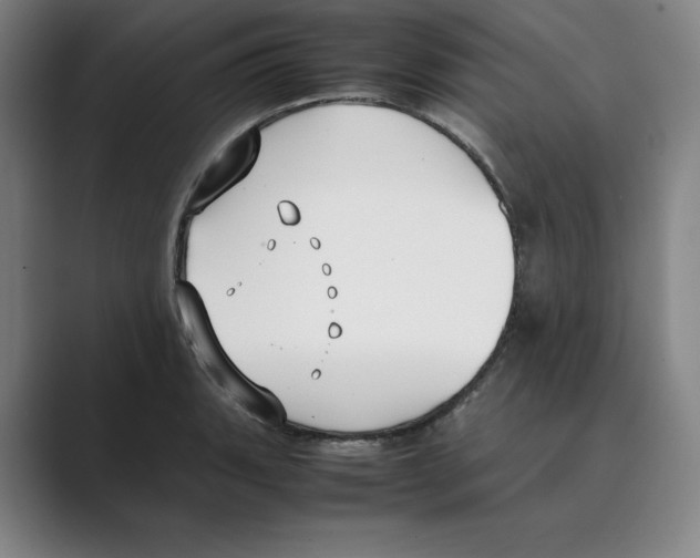 X0000088681135200706281937