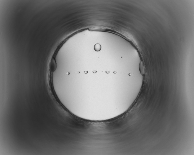 X0000088681136200706281937