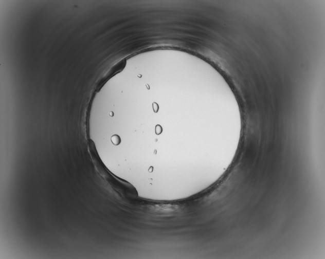 X0000088681137200706281937