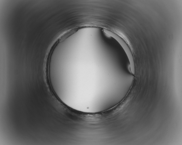 X0000088681138200706281937