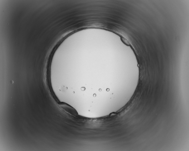 X0000088681139200706281937