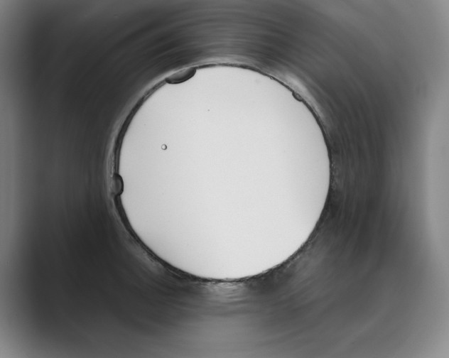 X0000088681140200706281937