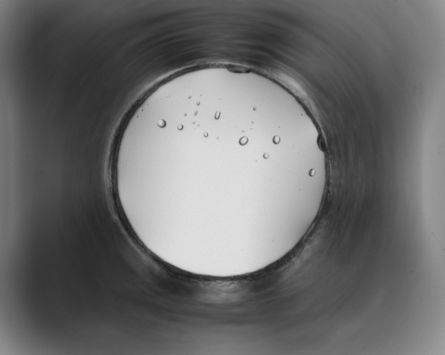 X0000088681141200706281937