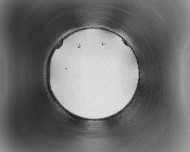 X0000088681142200706281937