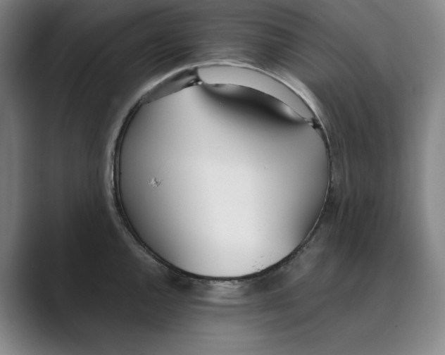 X0000088681144200706281937