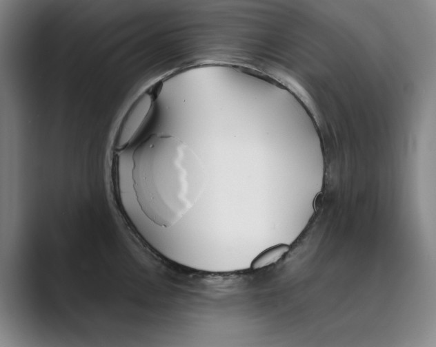 X0000088681146200706281937