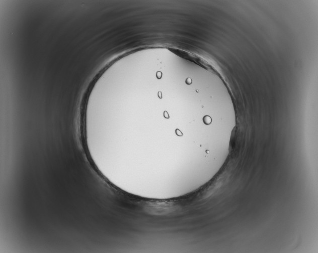 X0000088681147200706281937