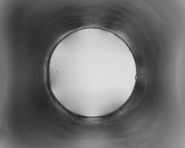 X0000088681151200706281937