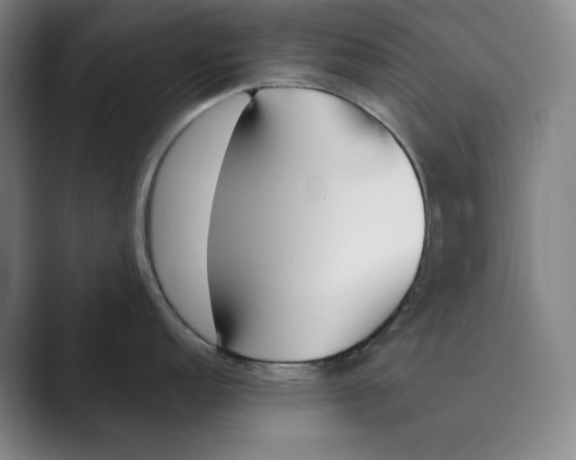 X0000088681152200706281937