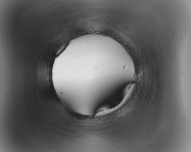 X0000088681156200706281936