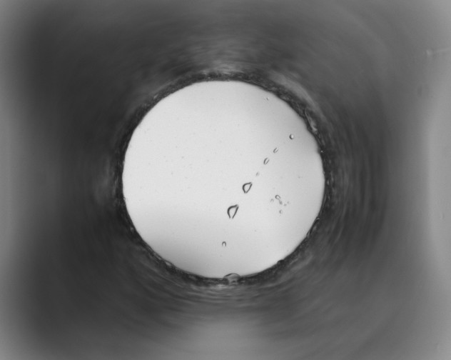 X0000088681160200706281936