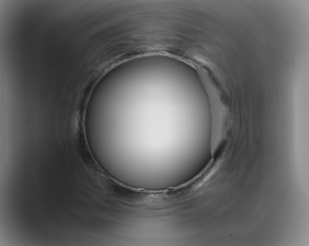 X0000088681161200706281936