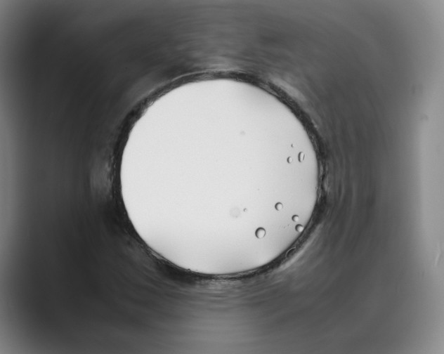 X0000088681163200706281936