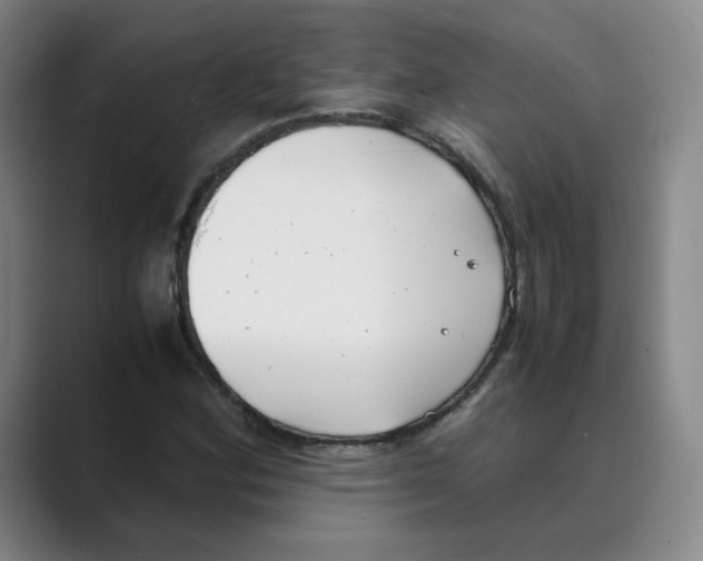 X0000088681164200706281936