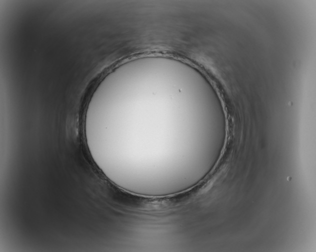 X0000088681165200706281936