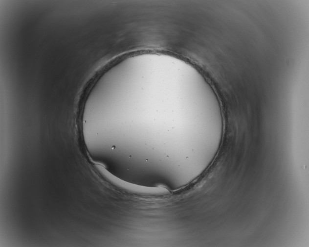 X0000088681168200706281936