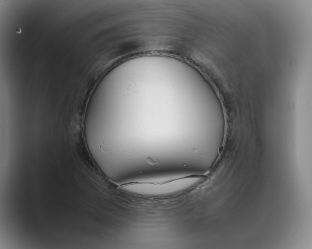 X0000088681169200706281936