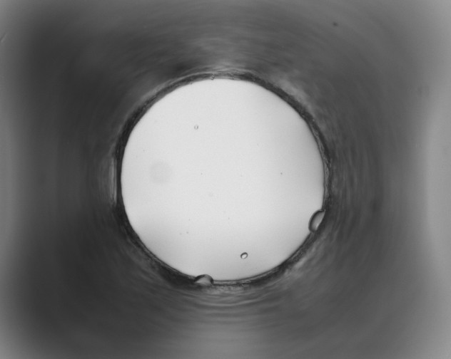 X0000088681171200706281936