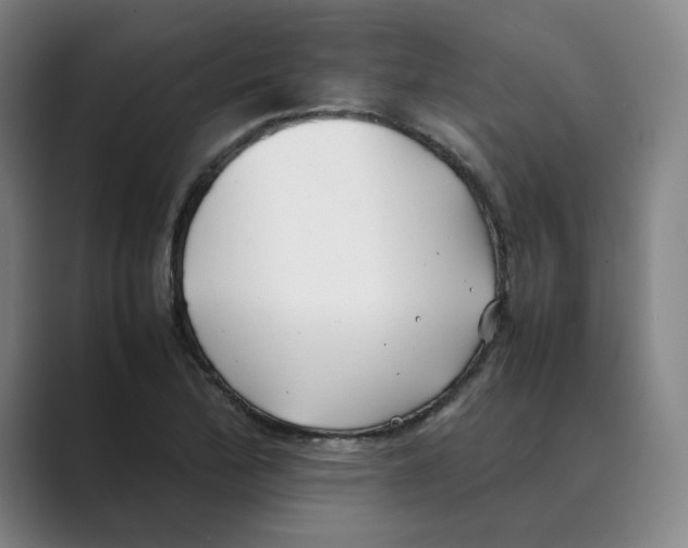 X0000088681172200706281936