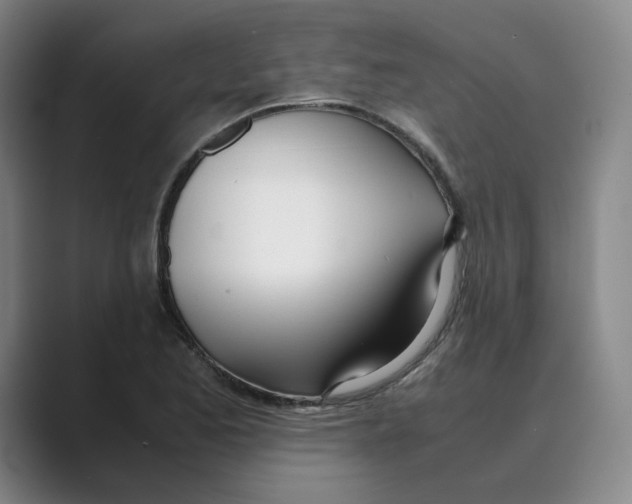 X0000088681173200706281936