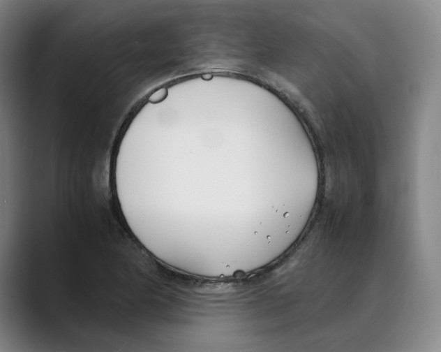 X0000088681174200706281936