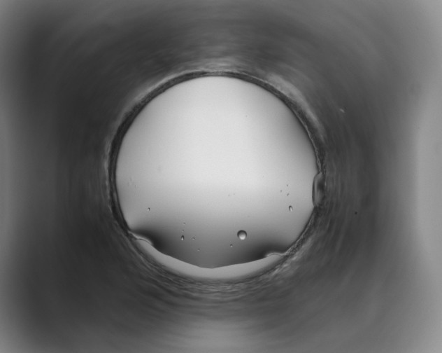 X0000088681176200706281936