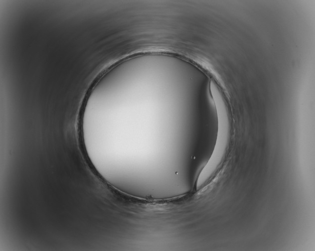 X0000088681181200706281936