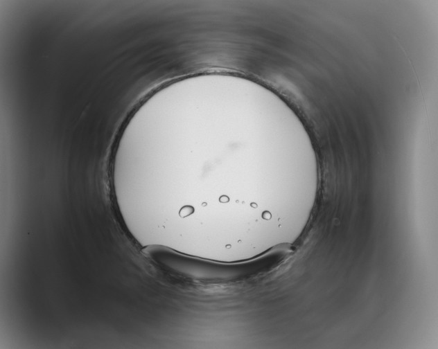 X0000088681182200706281936