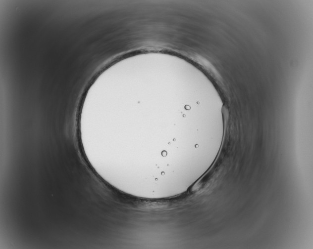 X0000088681183200706281936