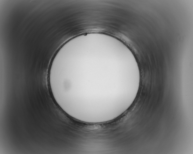 X0000088681186200706281936