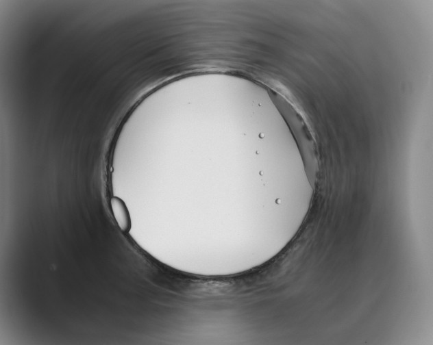 X0000088681187200706281936