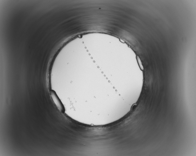 X0000088681188200706281936