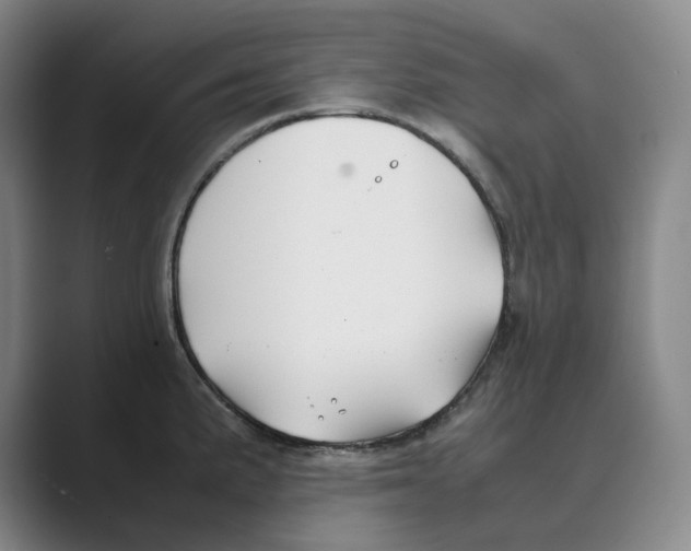 X0000088681191200706281936